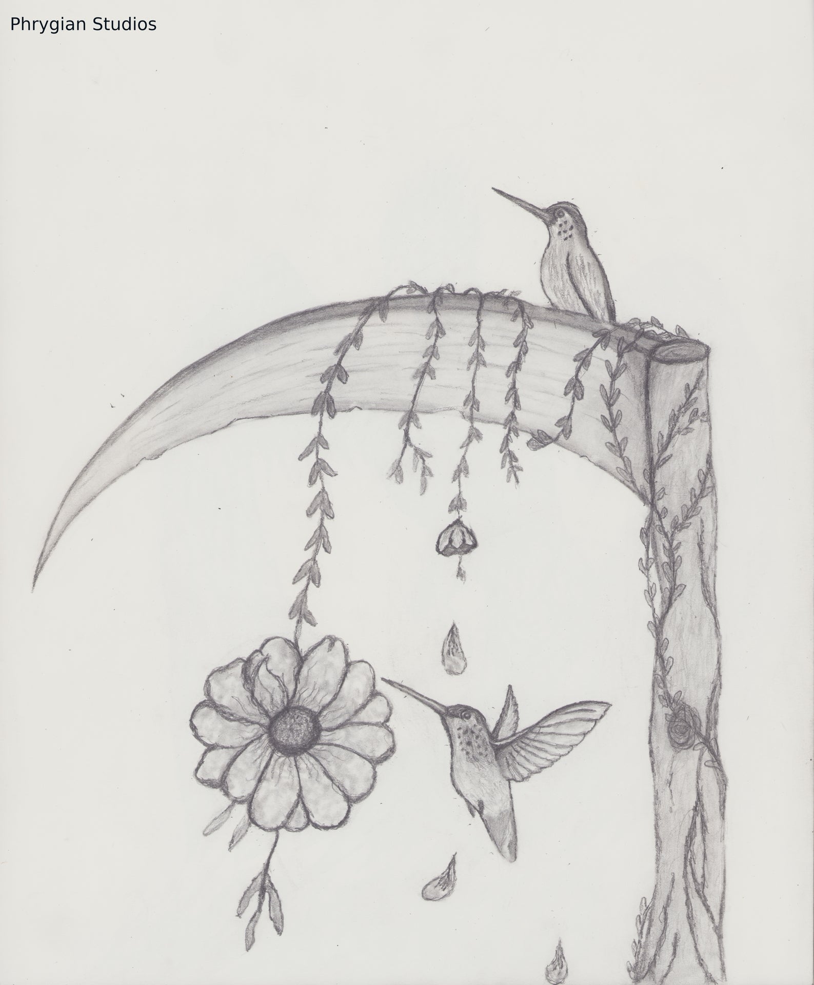 Hummingbirds with frame
