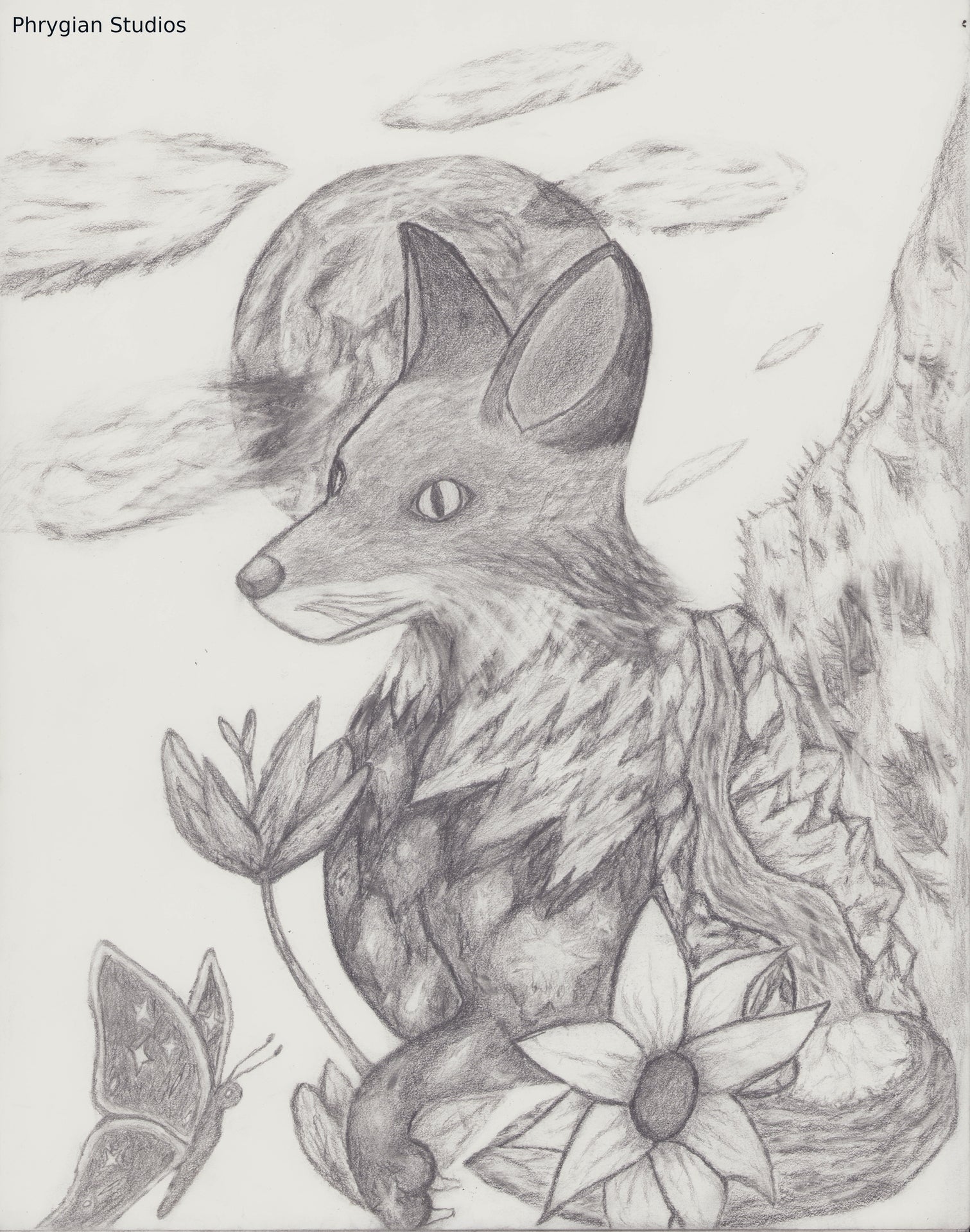 Galaxy Fox with frame
